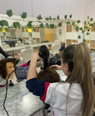 Curso Peluqueria Curso PELUQUERÍA